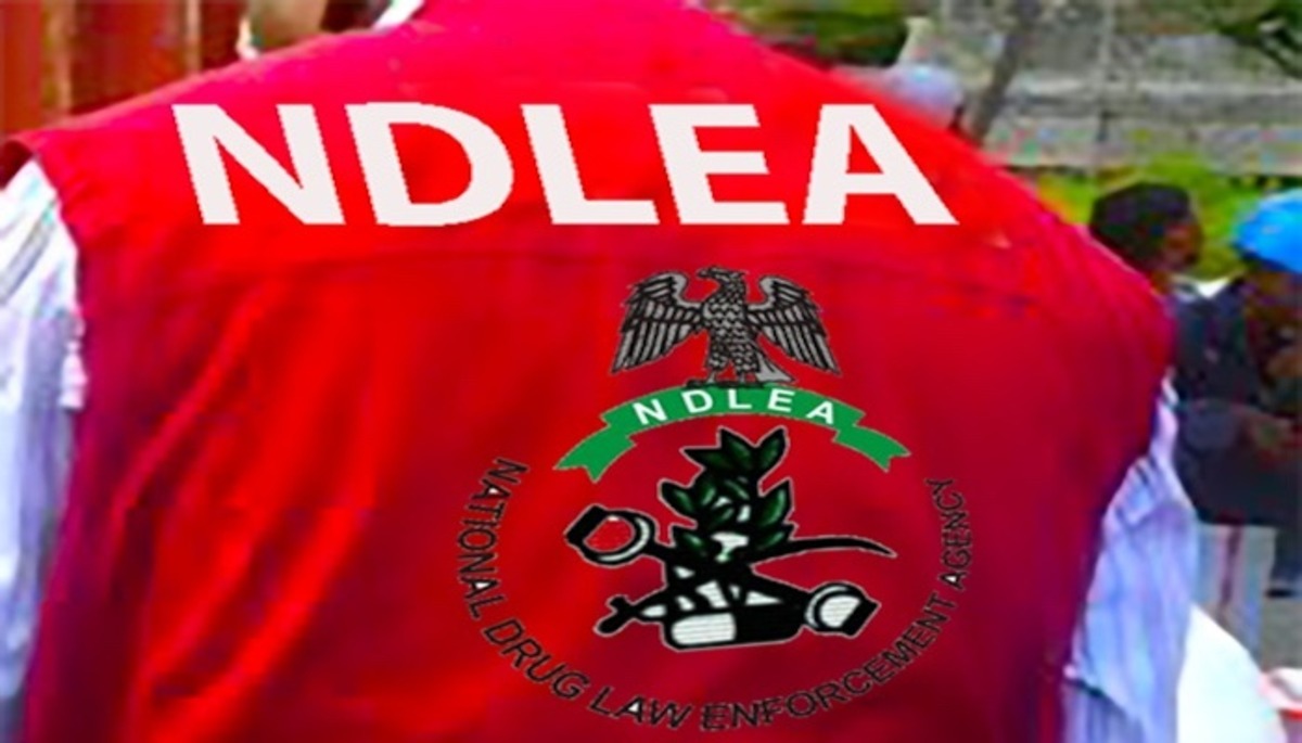 Nationwide crackdown: NDLEA seizes 7.6m Tramadol pills, 76,000kg cannabis