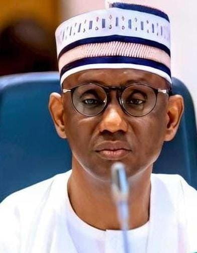 NSA confirms arrest of Ansaru, Mahmudawa terror leaders