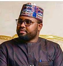 Tinubu appoints ex-Kano LG chair Ramat as acting NERC boss