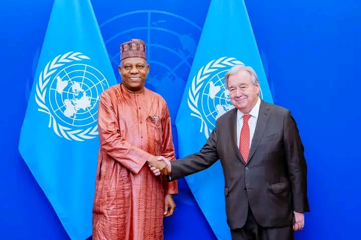 Nigeria seeks permanent membership on UN Security Council, says VP Shettima