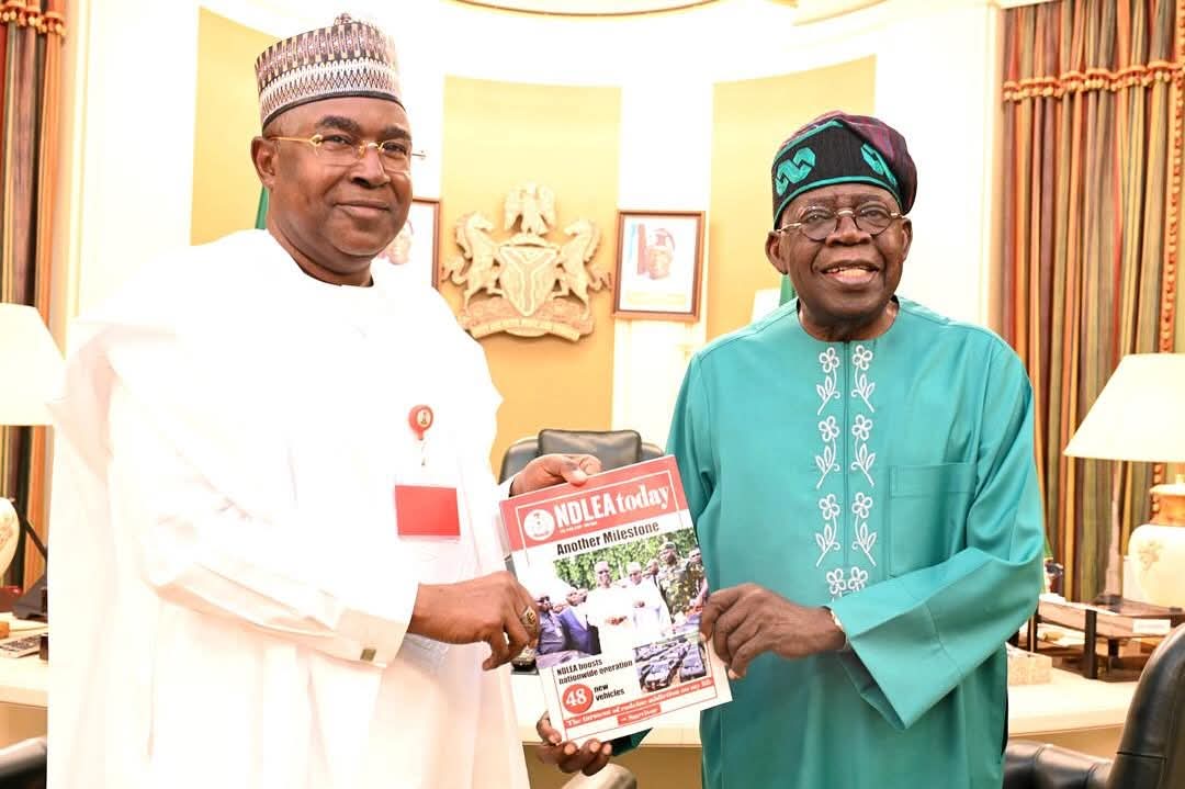 Tinubu reappoints Marwa as NDLEA chairman